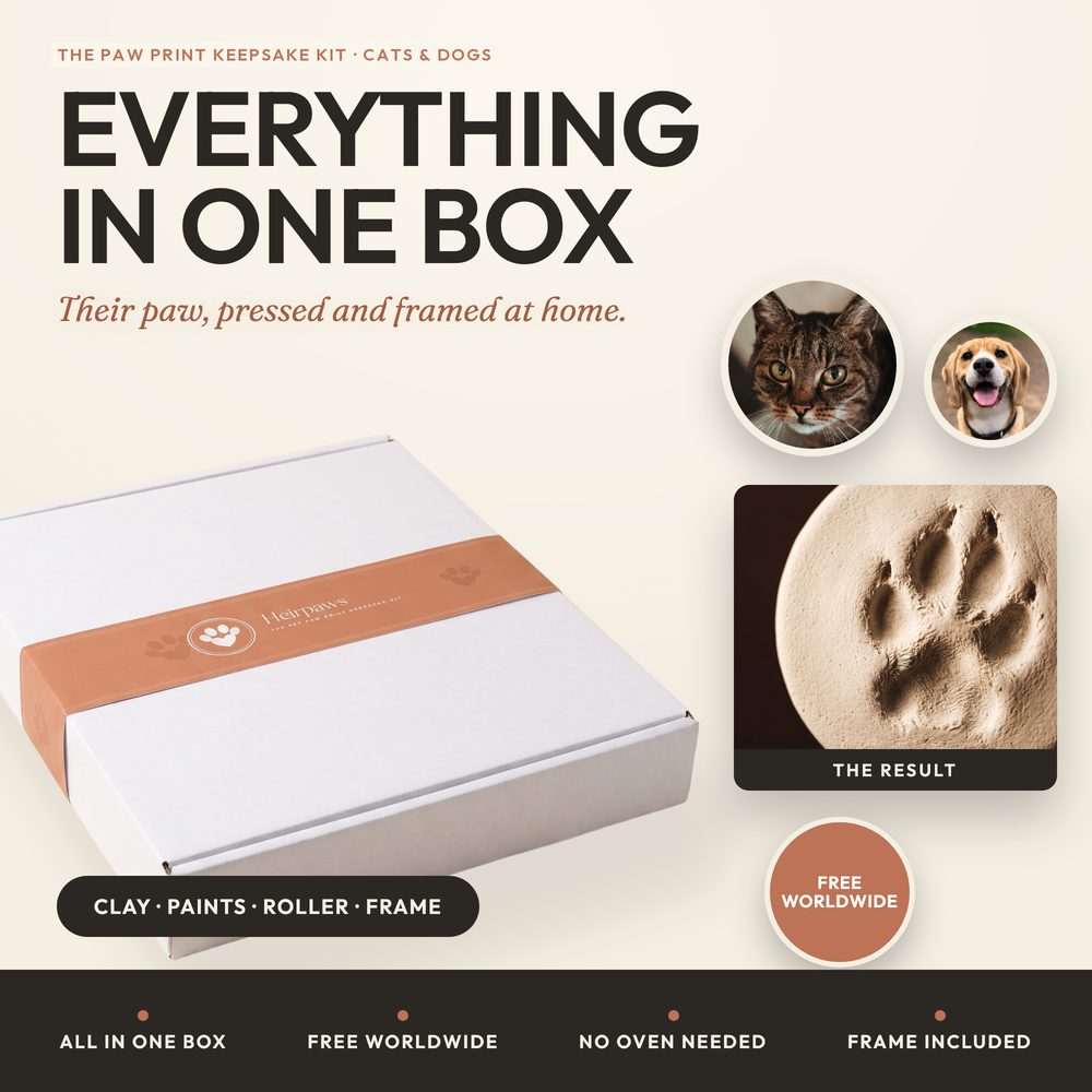 Paw Print Keepsake Kit for cats and dogs — air-dry clay 3D paw impression in a frame