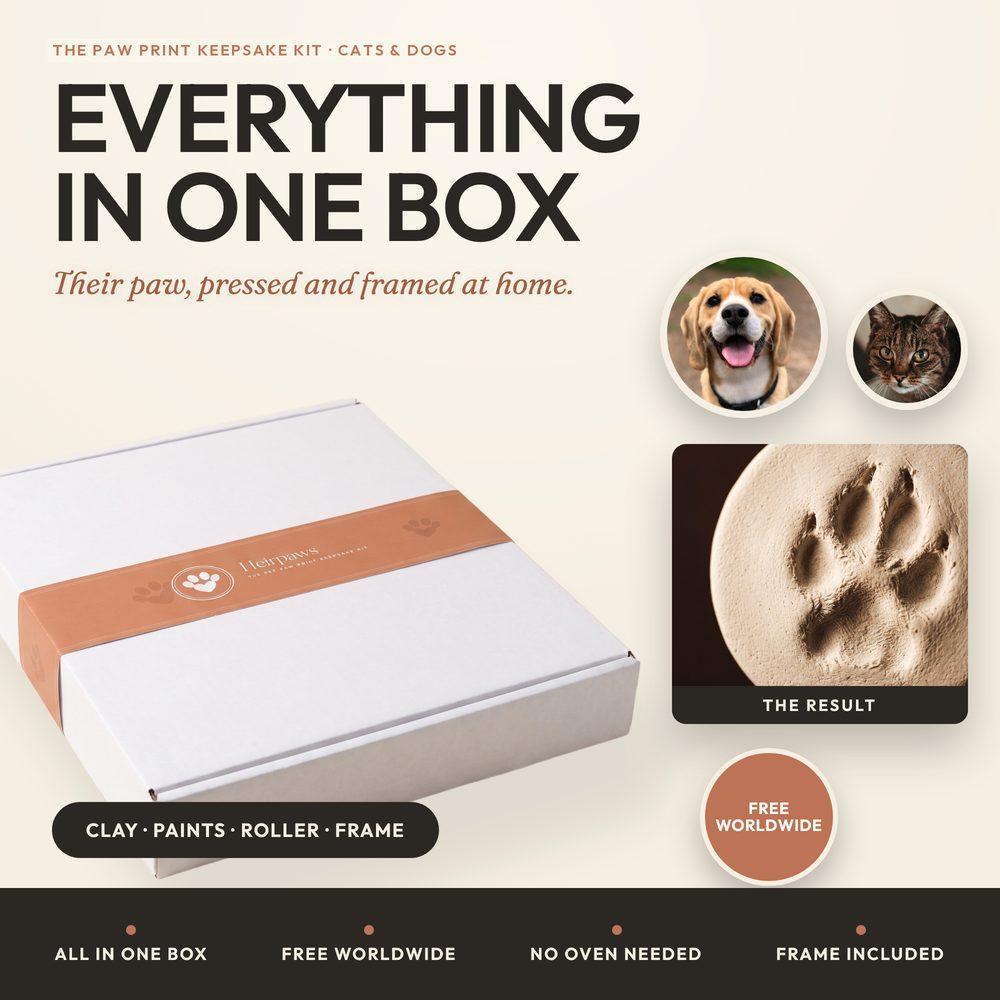 Paw Print Keepsake Kit for cats and dogs — air-dry clay 3D paw impression in a frame — photo 2