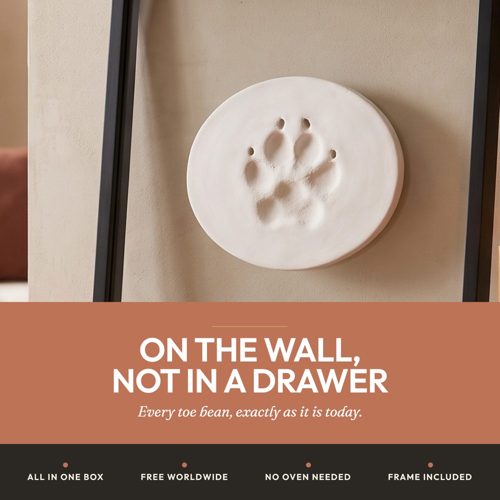 Paw Print Keepsake Kit for cats and dogs — air-dry clay 3D paw impression in a frame — photo 5