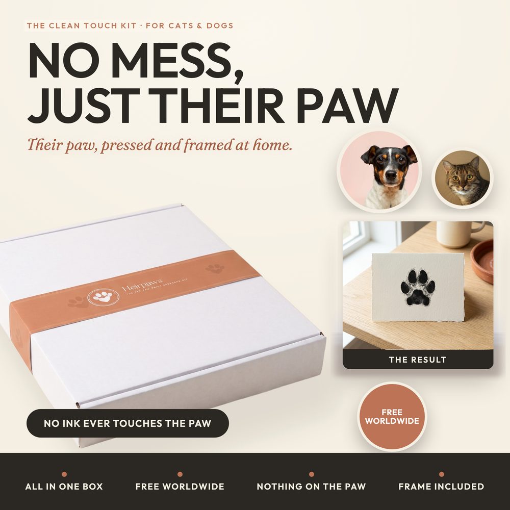 Inkless Paw Print Kit for cats and dogs — clean-touch mess-free paw print in a frame — photo 2