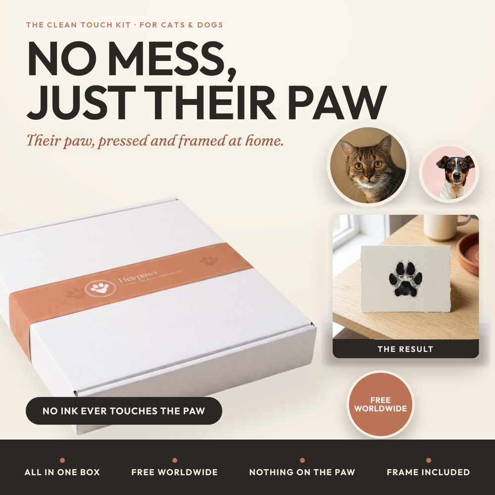 Inkless Paw Print Kit for cats and dogs — clean-touch mess-free paw print in a frame